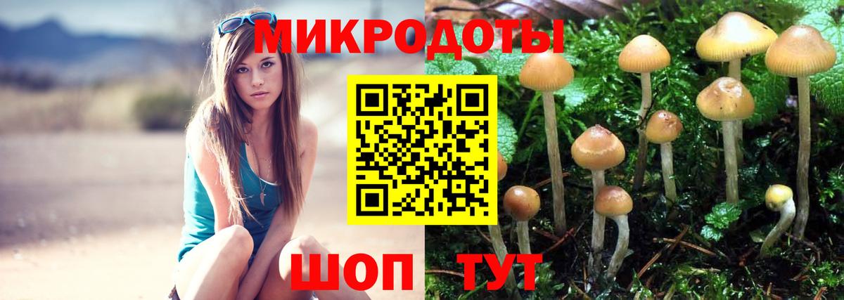 Галлюциногенные грибы прущие грибы Ачинск